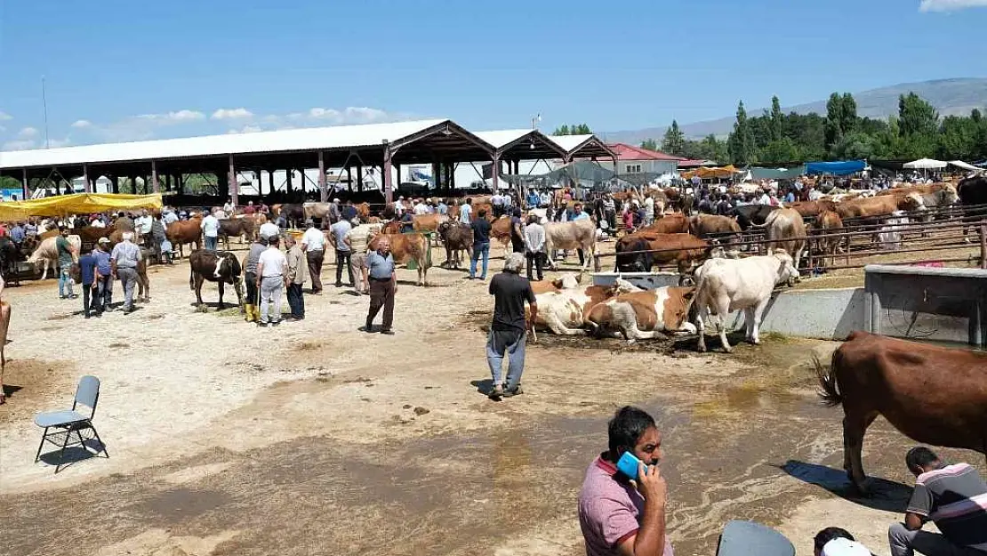 Kurban pazarında arefe yoğunluğu
