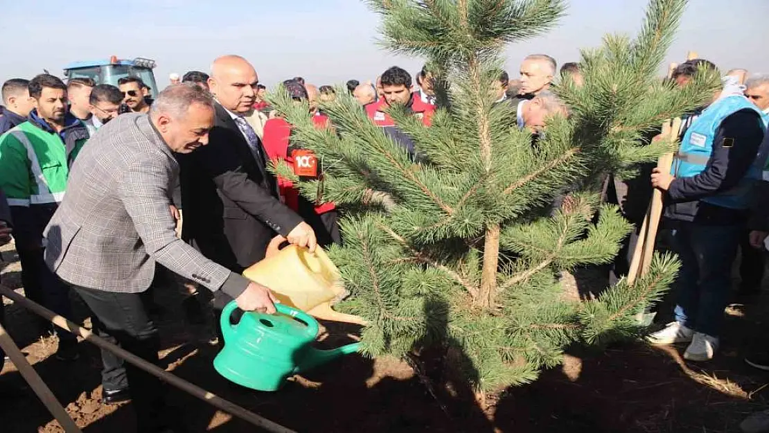 Ağrı'da fidanlar toprakla buluştu
