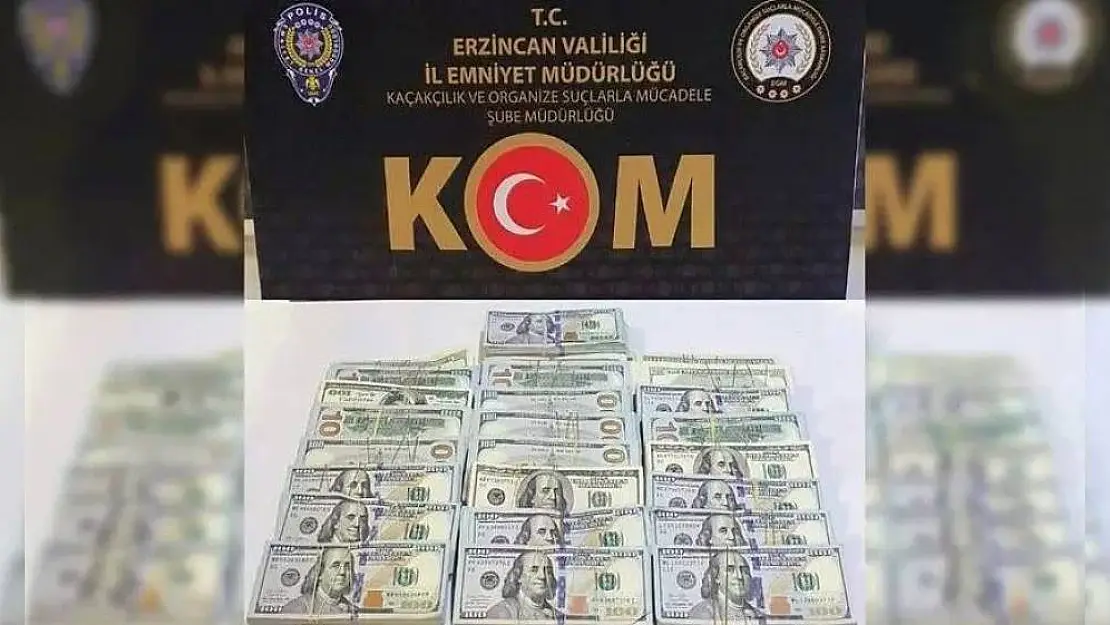 Iğdır'da dolar gasp ettiği öne sürülen şüpheli Erzincan'da yakalandı
