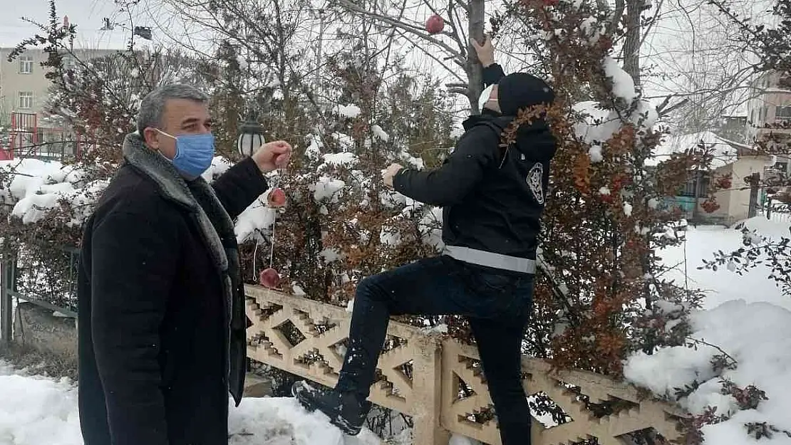 Polis yaban ve sokak hayvanları unutmadı
