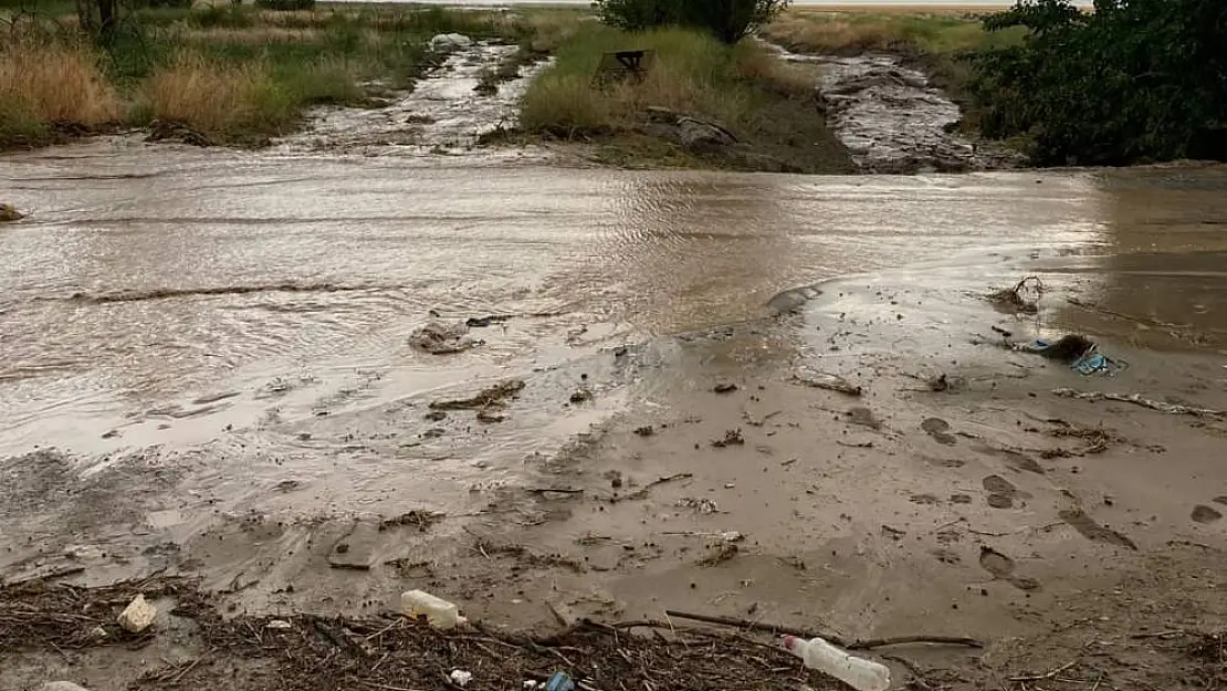 Elazığ'da tarım arazilerini sel vurdu
