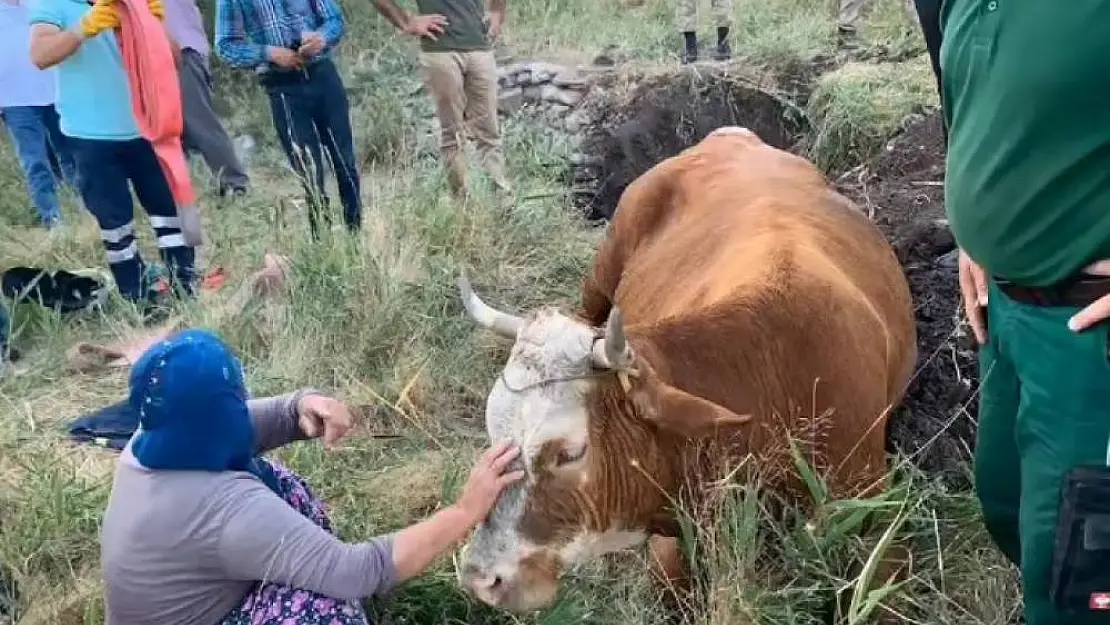 Su kuyusuna düşen inek, 40 dakikalık çalışmayla kurtarıldı
