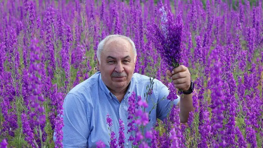 Sağanaklar doğayı mor'a boyadı
