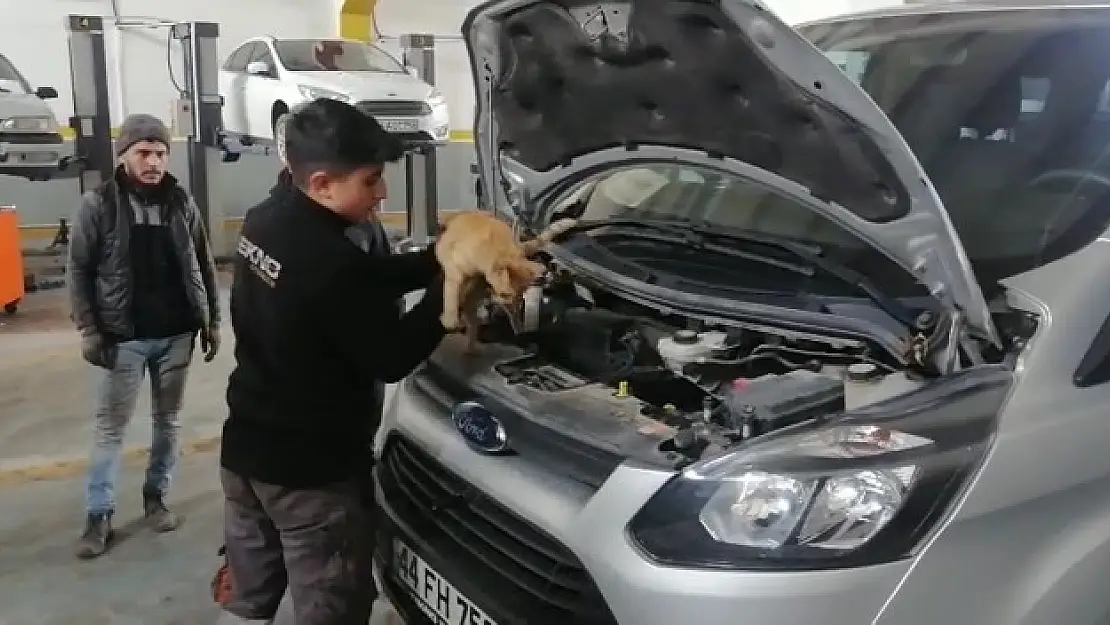 Isınmak için girdiği aracın motorundan çıkmak istemedi
