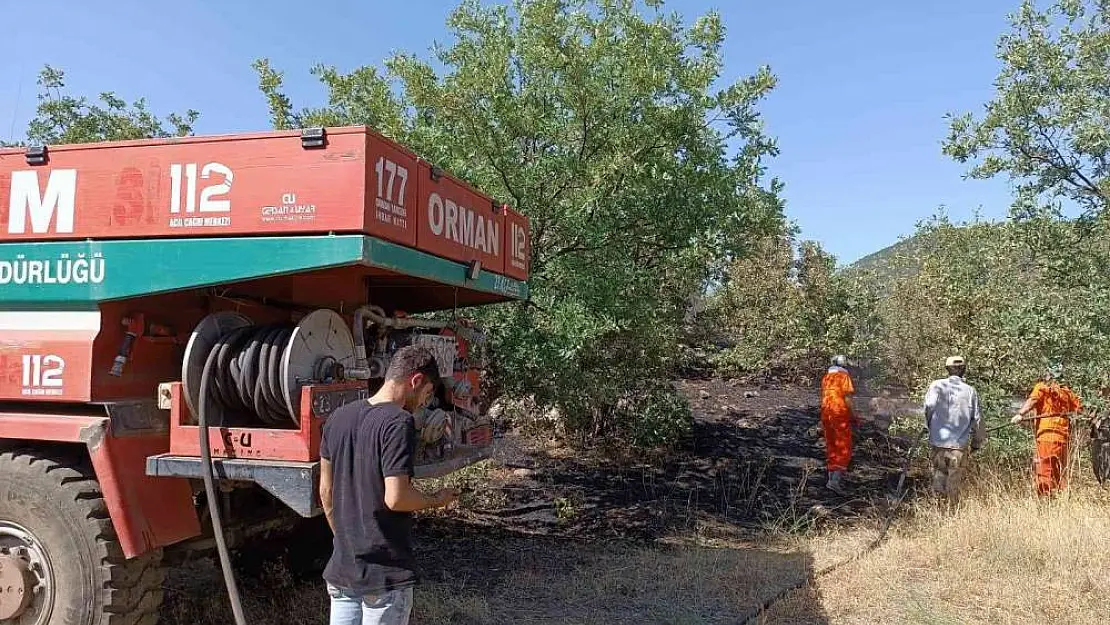 Bingöl'de orman yangını büyümeden söndürüldü
