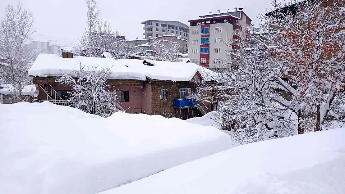 Hakkari'de karla mücadele sürüyor
