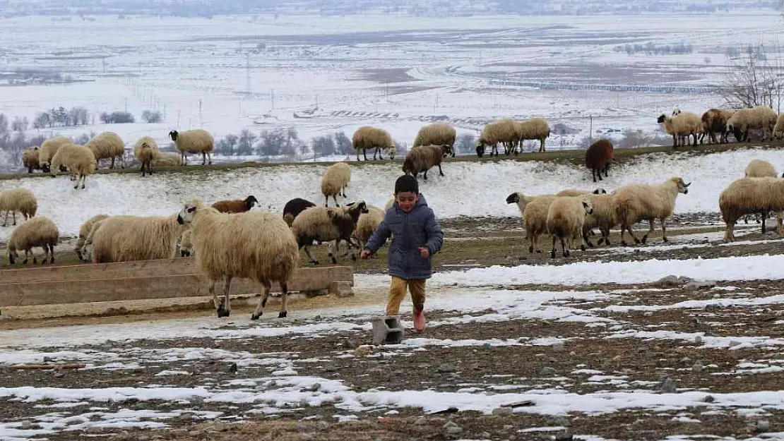 Valilik'ten yayla ve mera kullanımı genelgesi
