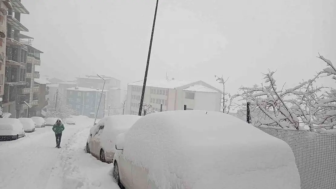 Hakkari'de 325 yerleşim yerinin yolu kapandı
