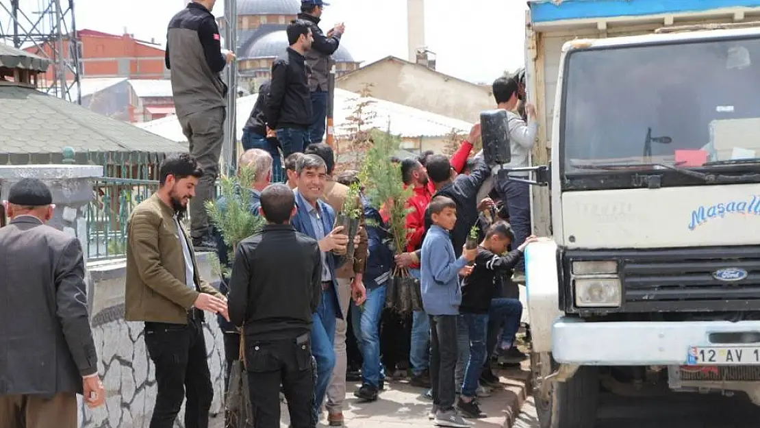 Karlıova'da 10 bin adet fidan dağıtıldı
