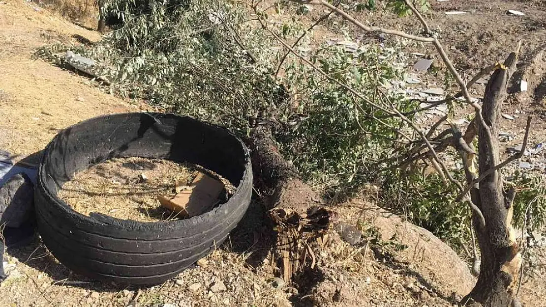 Elazığ'da pikap şarampole yuvarlandı: 5 yaralı
