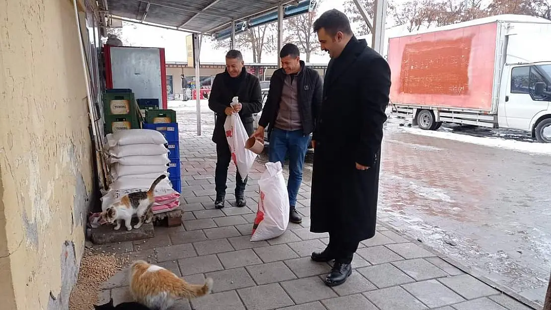 Arguvan'da sokak hayvanları unutulmadı
