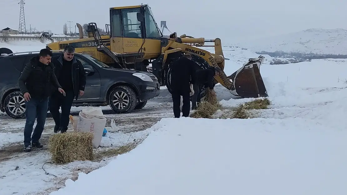 Aşkale'de sokak ve yaban hayvanları beslendi
