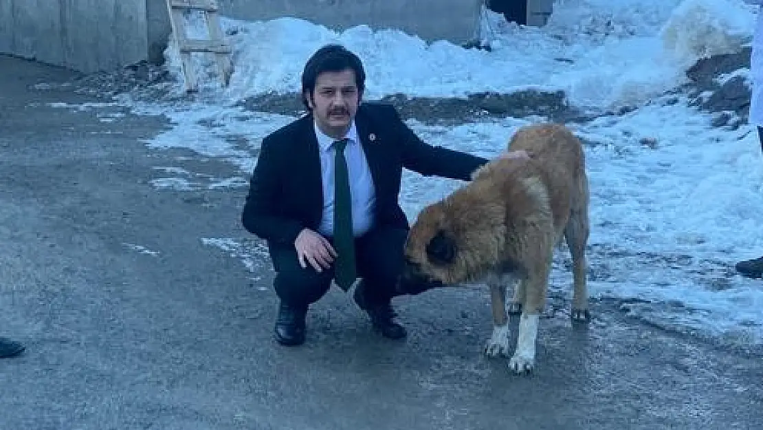 Vali Yardımcısı Kasımoğlu, şiddet gören iki köpeği sahiplendi
