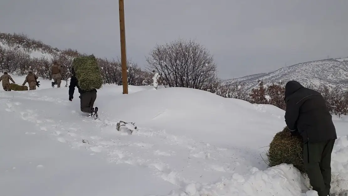 Elazığ'da yaban hayatına bir ayda 7  ton yem bırakıldı
