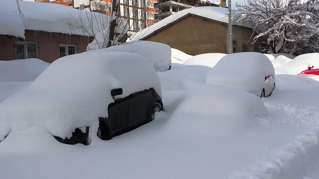 Bitlis'te kapanan 282 köy yolundan 98'i açıldı
