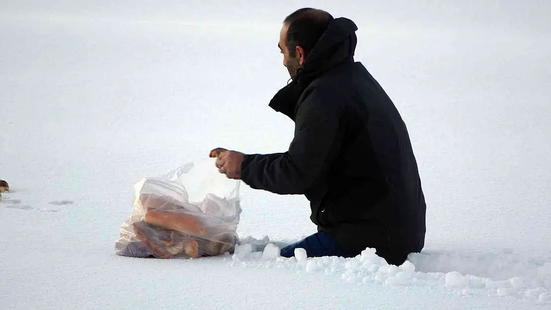 Yaban hayvanları için beline kadar kara batarak doğaya ekmek bıraktı
