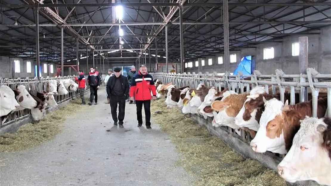 Iğdır'da hayvanlar için aşılama çalışmaları devam ediyor
