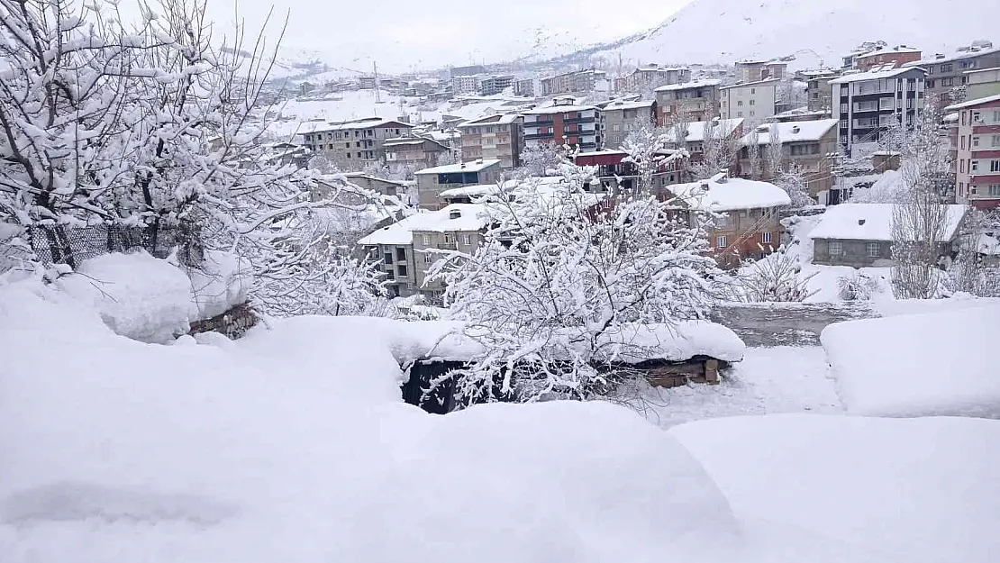 Hakkari'de 239 yerleşim yerinin yolu kapandı
