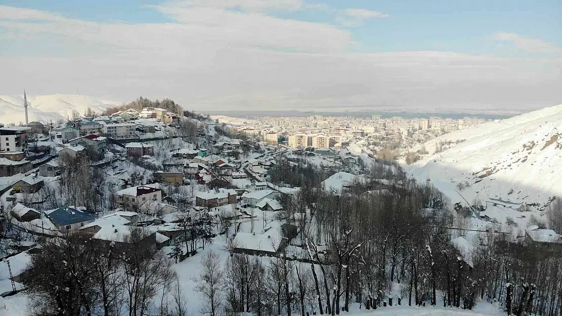 Muş'ta tek katlı evler kara gömüldü
