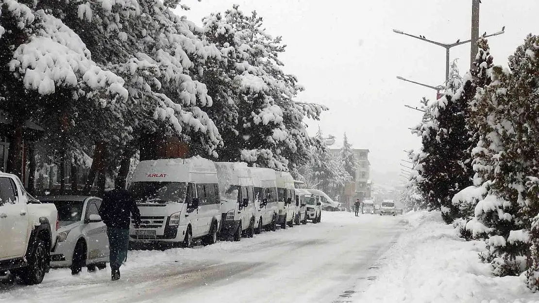 Ahlat'ta yoğun kar yağışı
