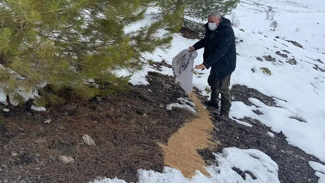 Elazığ'da yaban hayvanları için doğaya yem bırakıldı
