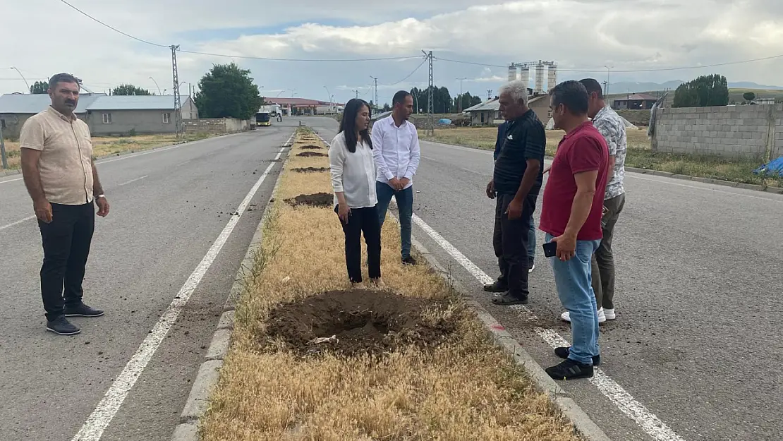 Ağrı Belediyesi refüjlerde ağaç dikimine başladı