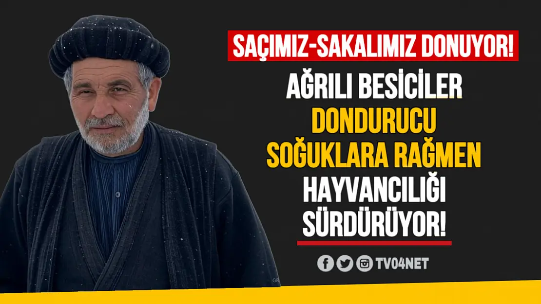 Ağrı'da Besicilerin Kış Mesaisi: Dondurucu Soğuklara Karşı Direniş