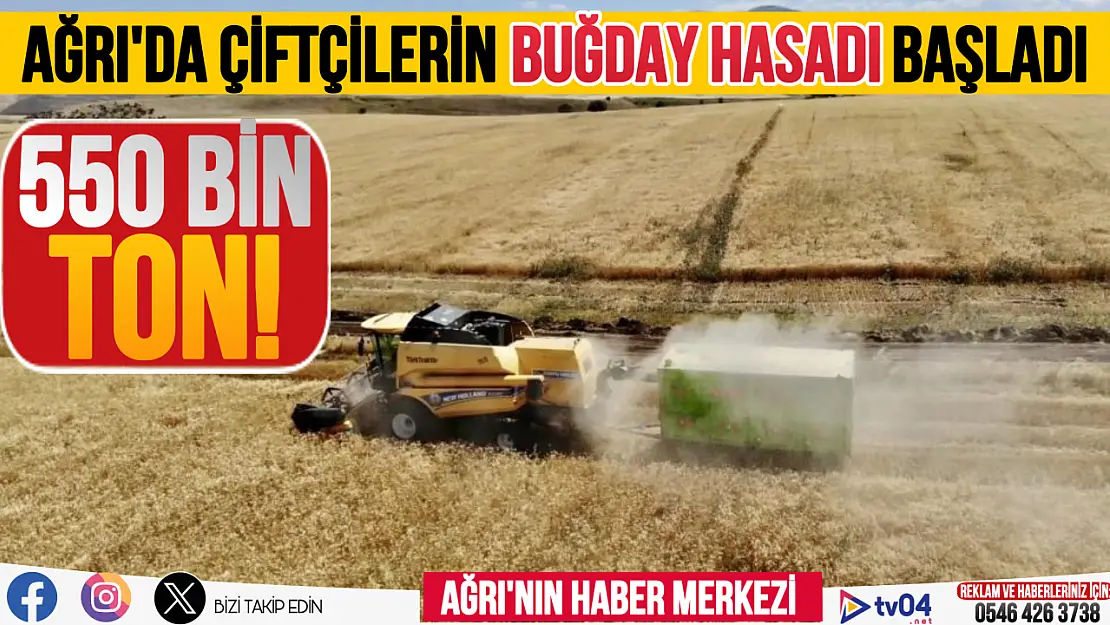 Ağrı'da buğdaylar hasat edilmeye başlandı! 550 bin ton verim bekleniyor