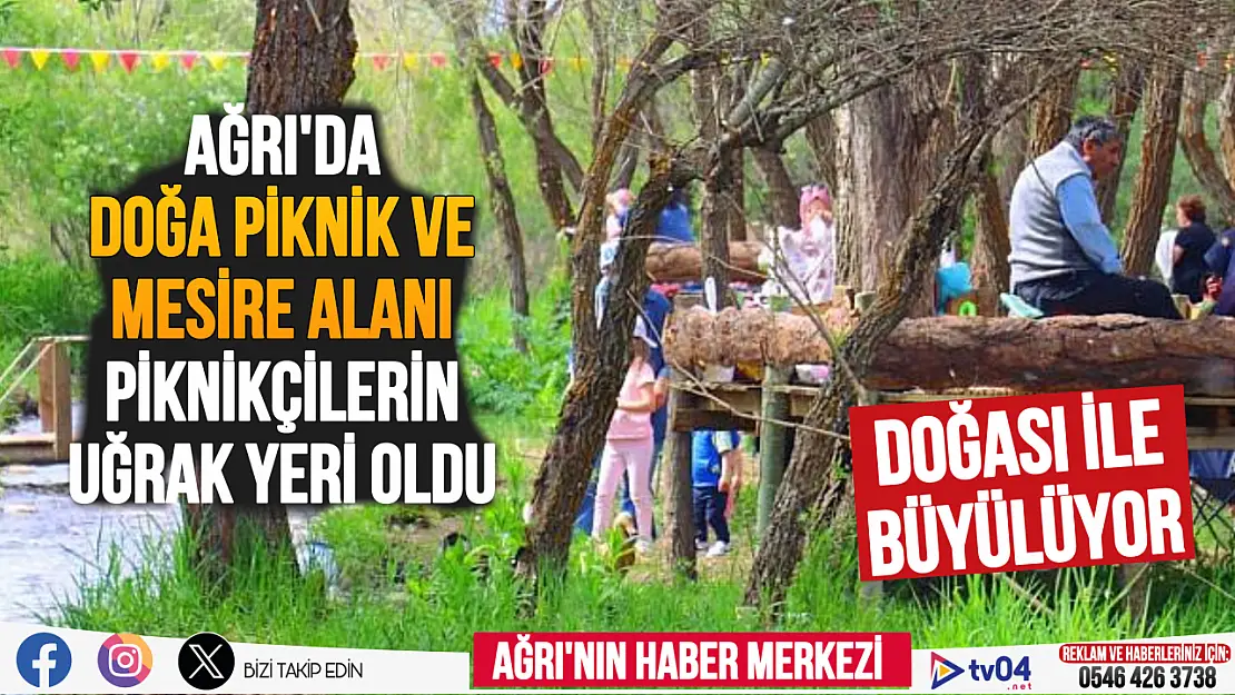 Ağrı'da Doğa Piknik ve Mesire Alanı piknik severleri cezbediyor