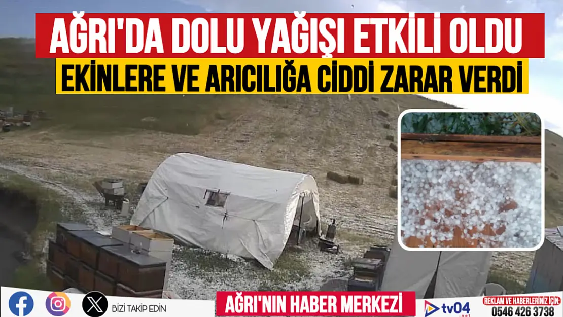 Ağrı'da dolu yağışı arıcılığa ve ekinlere zarar verdi