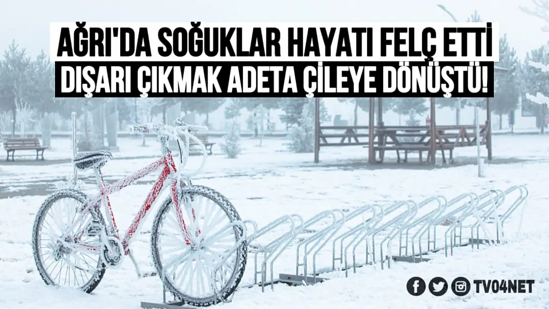 Ağrı'da Dondurucu Soğuklar Hayatı Felç Etti