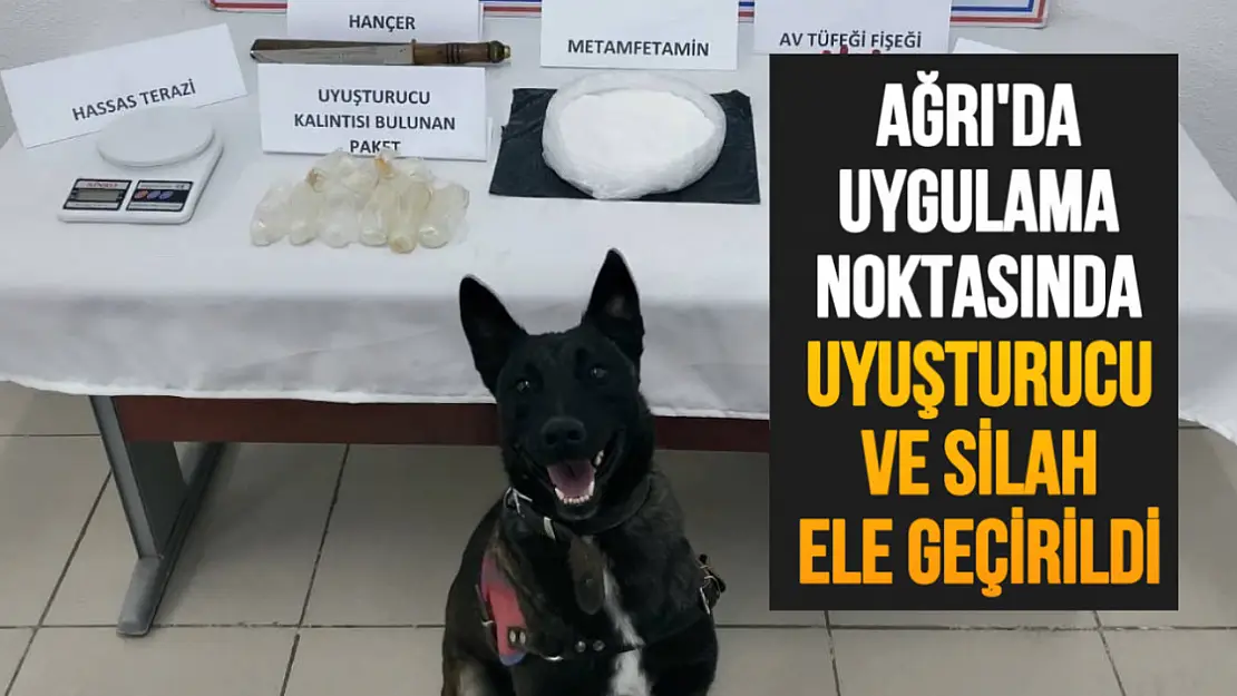 Ağrı'da Jandarma Uygulamasında Uyuşturucu ve Silah Ele Geçirildi