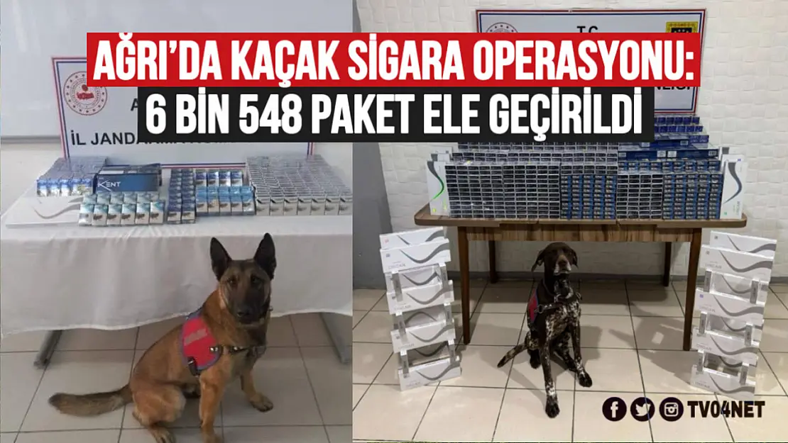 Ağrı'da Kaçak Sigara Operasyonu: 6 Bin 548 Paket Ele Geçirildi