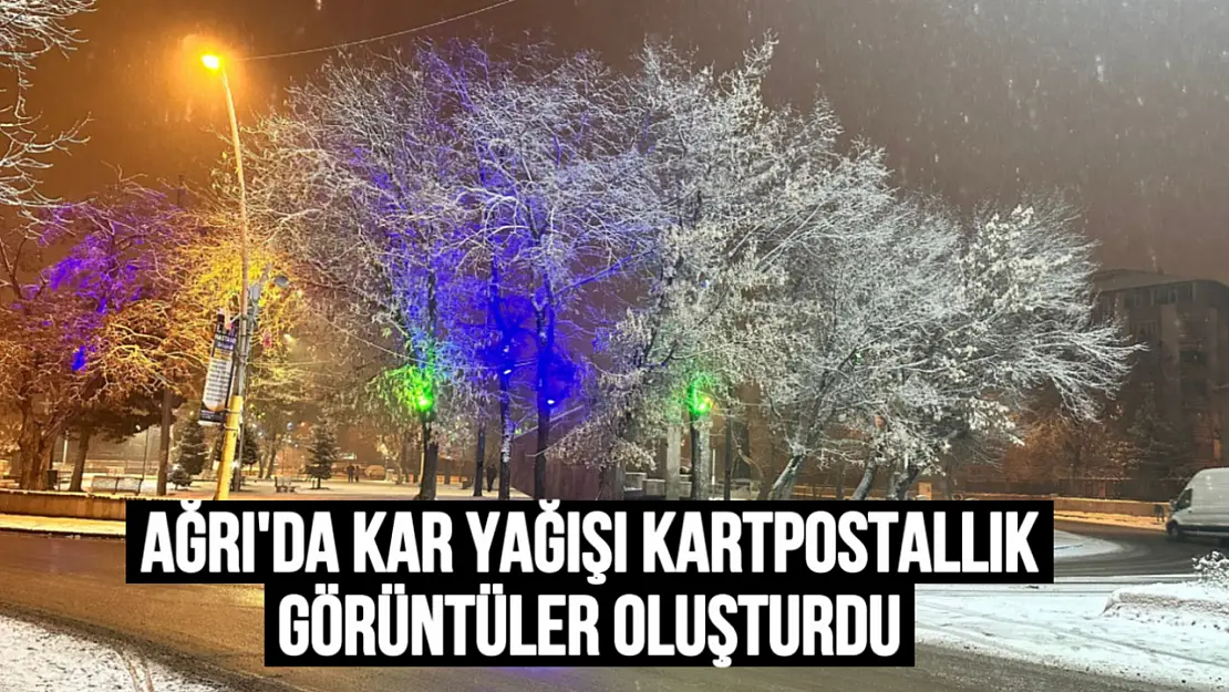 Ağrı'da Kar Yağışı Kartpostallık Görüntüler Oluşturdu