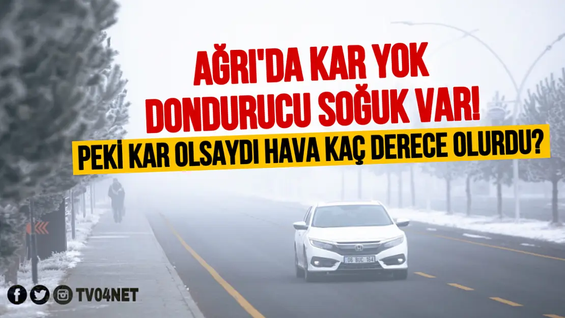 Ağrı'da Kar Yok Ama Dondurucu Soğuk Var!