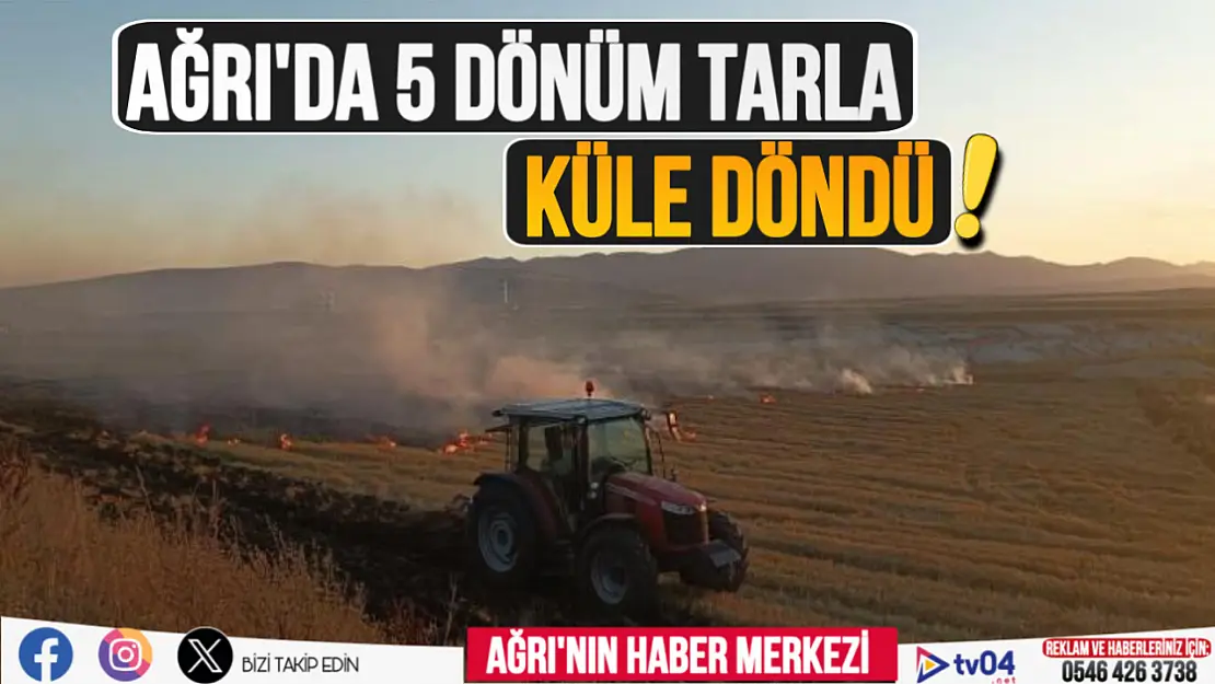 Ağrı'da korkutan yangın: 5 dönüm tarla küle döndü