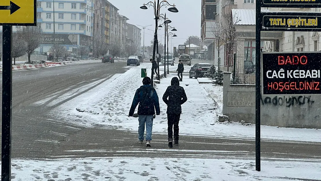 Ağrı'da Öğle Saatlerinde Kar Yağışı Etkili Oldu