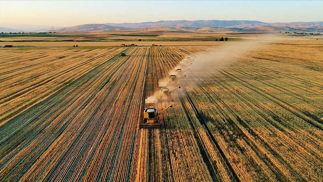 Ağrı'da Satılık Tarla Fiyatları 2024: Değişkenlik ve Durum