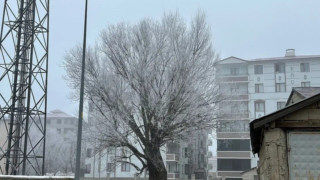 Ağrı'da Soğuk Hava ve Sis Etkili Oldu