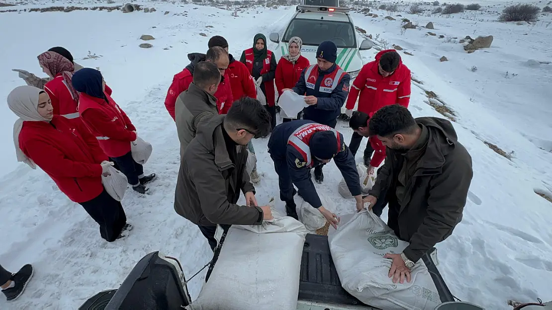 Ağri'da Yaban Hayvanları İçin Yemleme Çalışması Gerçekleştirildi