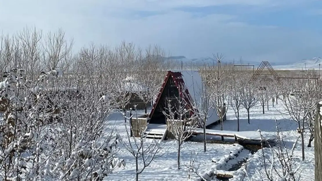 Ağrı Dağı'nın Eteklerinde Bir Vaha: Ararat Garden