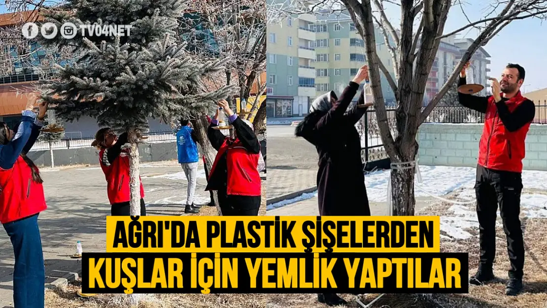 Ağrı Gençlik Merkezi'nden Kuşlara Yardım: Plastik Şişelerden Yemlik Yapıldı