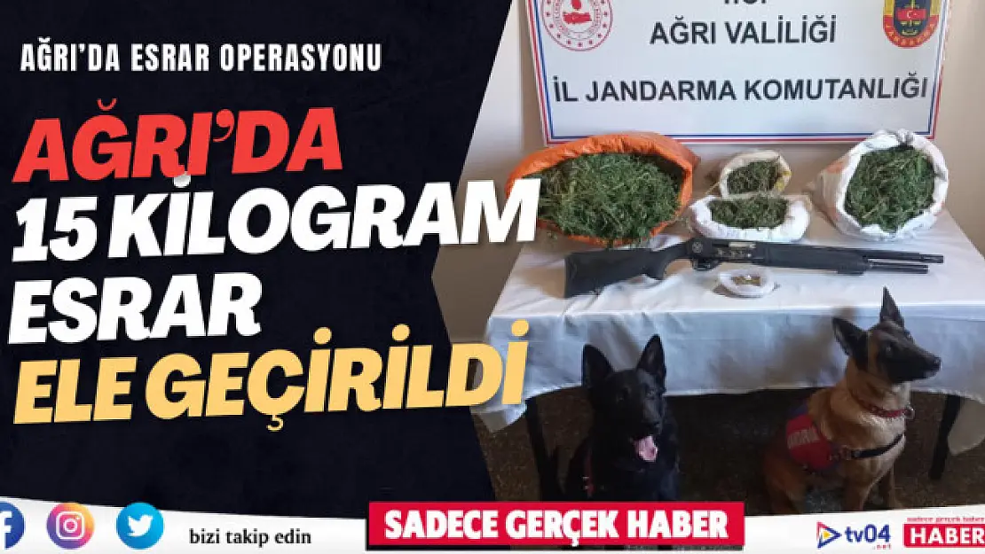 Ağrı'da 15 kilo esrar ele geçirildi