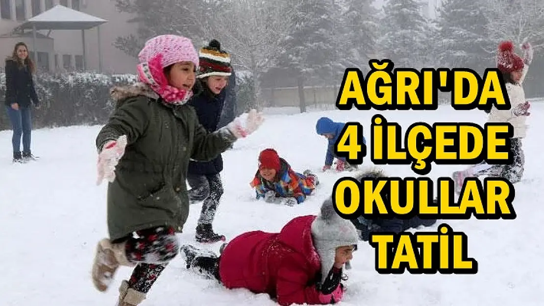 Ağrı'da 4 ilçede okullara tatil kararı