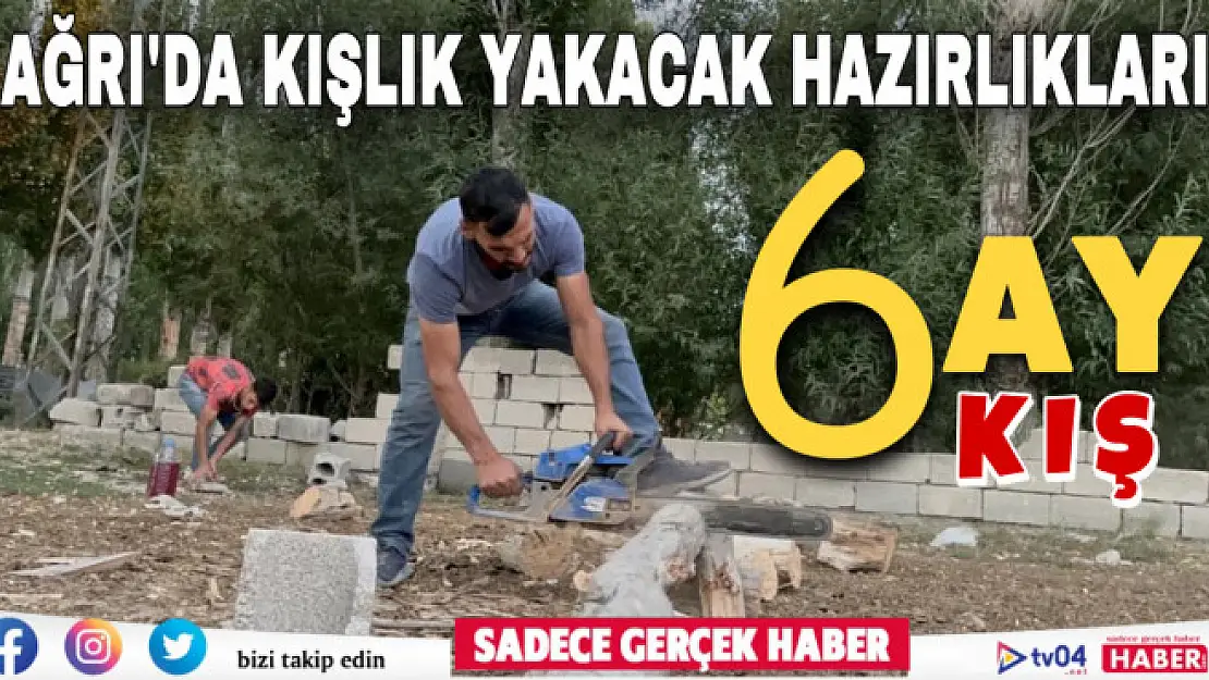 Ağrı'da ağaçlar kışlık yakacak olmak için kesildi