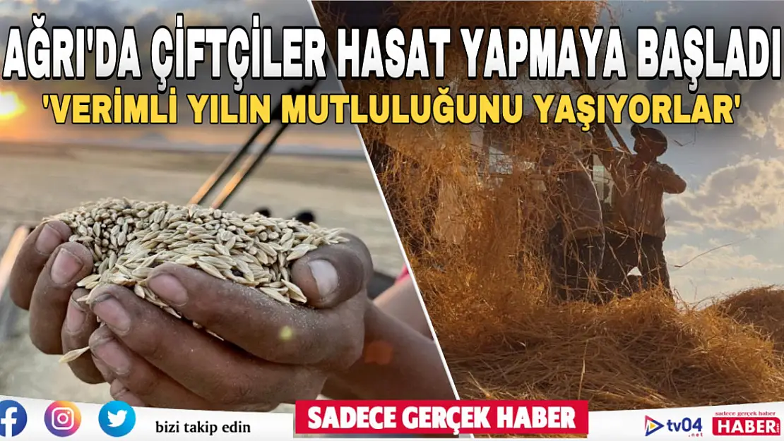 Ağrı'da çiftçiler bereketli geçecek sezon için hasat yapmaya başladı