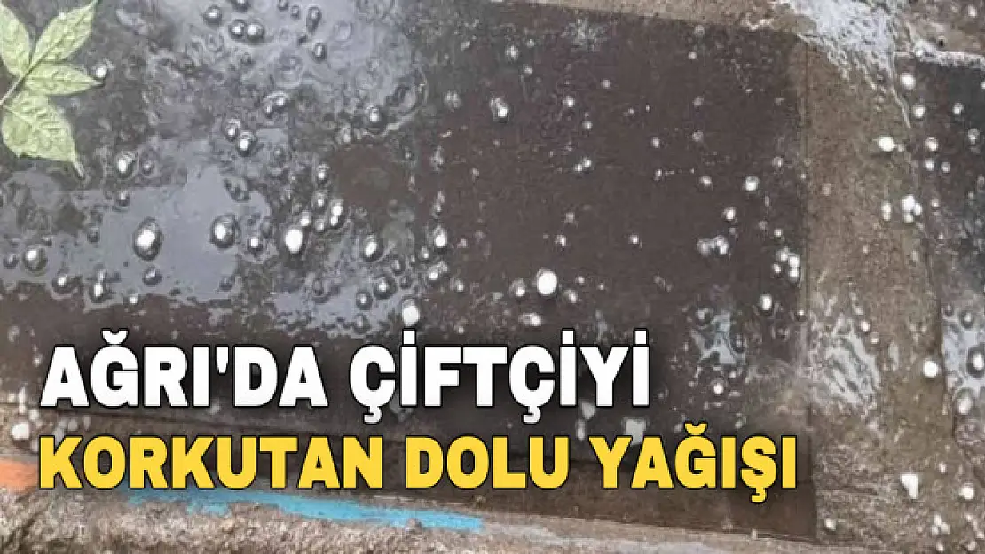 Ağrı'da çiftçiyi korkutan dolu