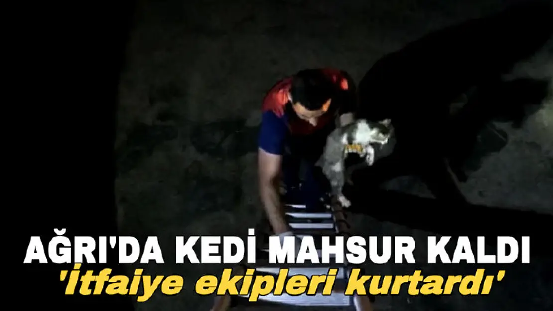 Ağrı'da dere kenarında mahsur kalan kedi itfaiye ekipleri kurtardı