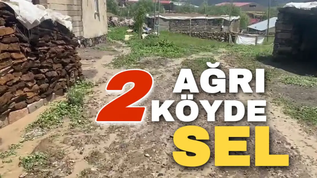 Ağrı'da ekili araziler ve bazı evler sular altında kaldı