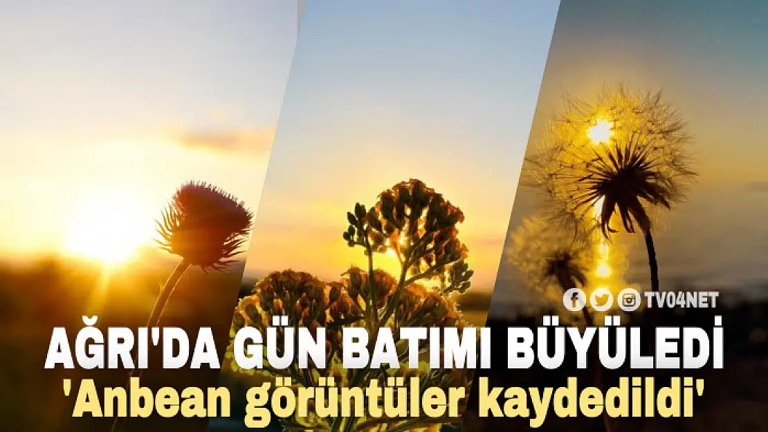 Ağrı'da gün batımı manzarası hayran bıraktı